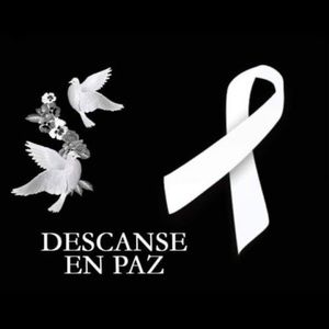 Meet your Posher, Lizbeth